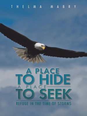 cover image of A Place to Hide a Place to Seek